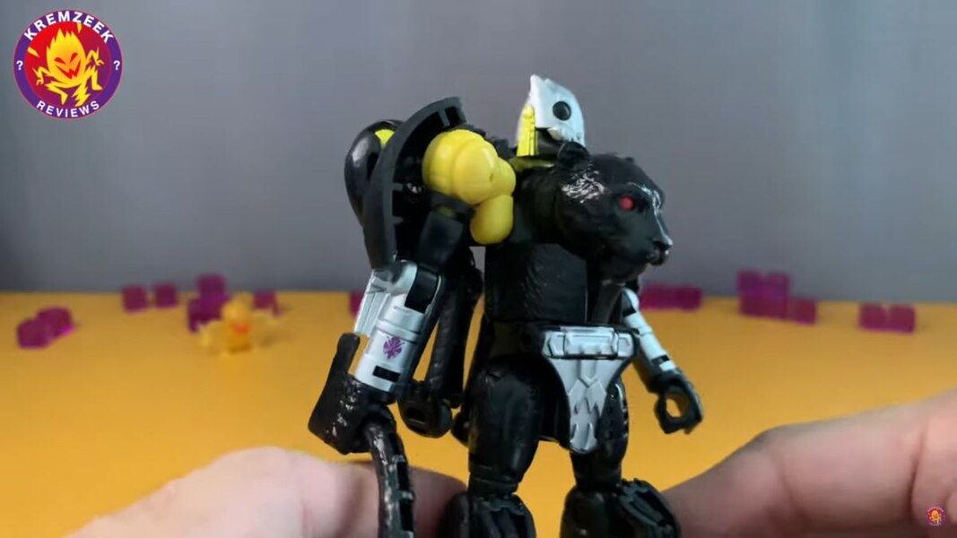 Transformers WFC Kingdom Shadow Panther In Hand  (2 of 19)